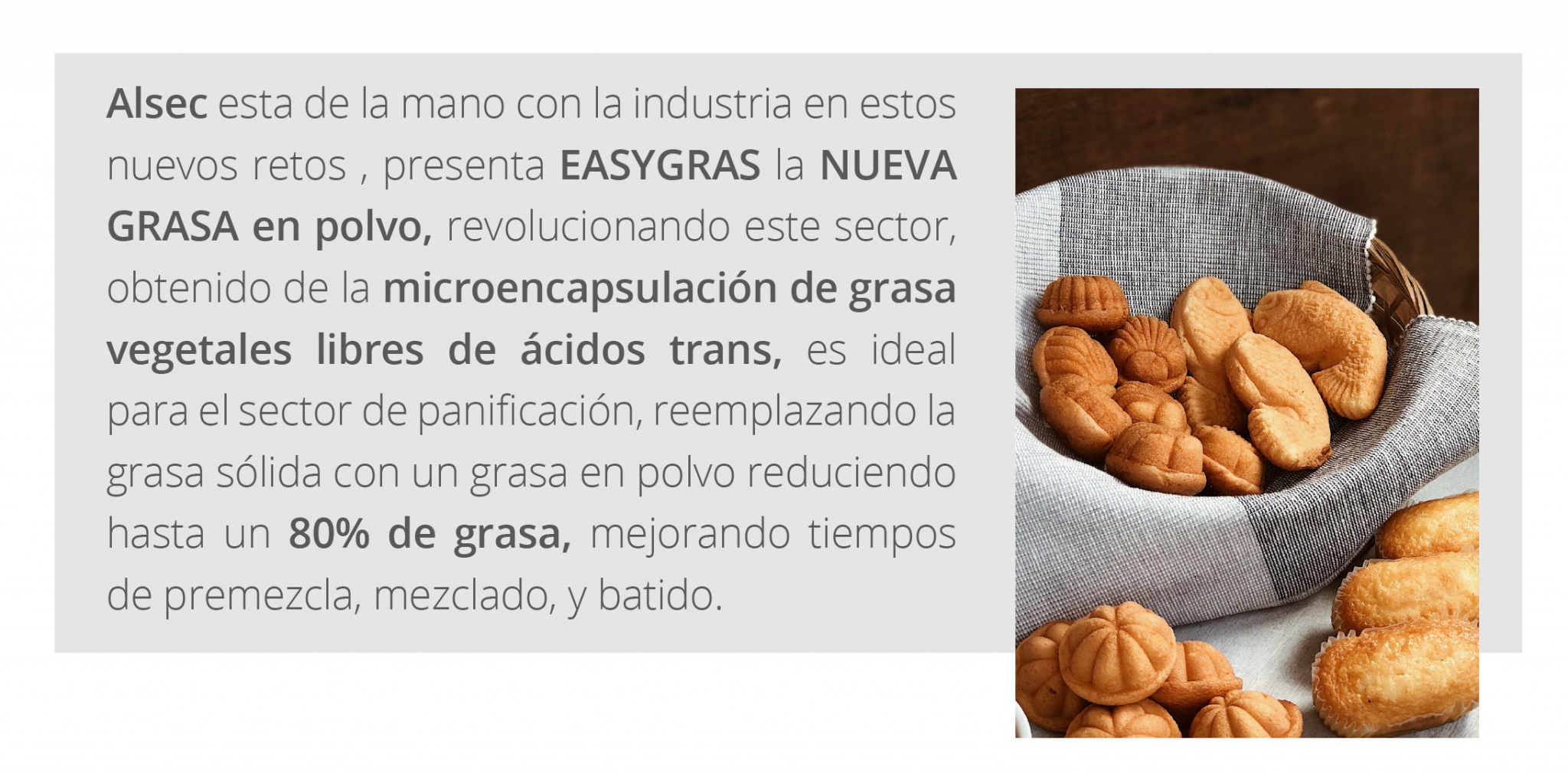 Simple Gras EASYGRAS P - ALSEC
