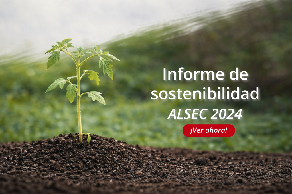 Arte portada informe de sostenibilidad 2024